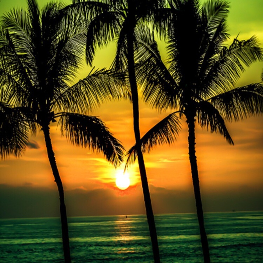 Meet your Posher, Jan